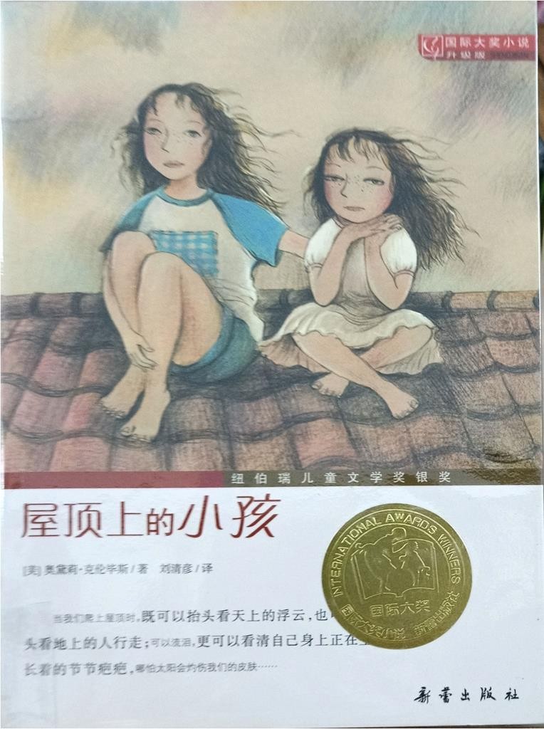 屋顶上的小孩（国际大奖小说）