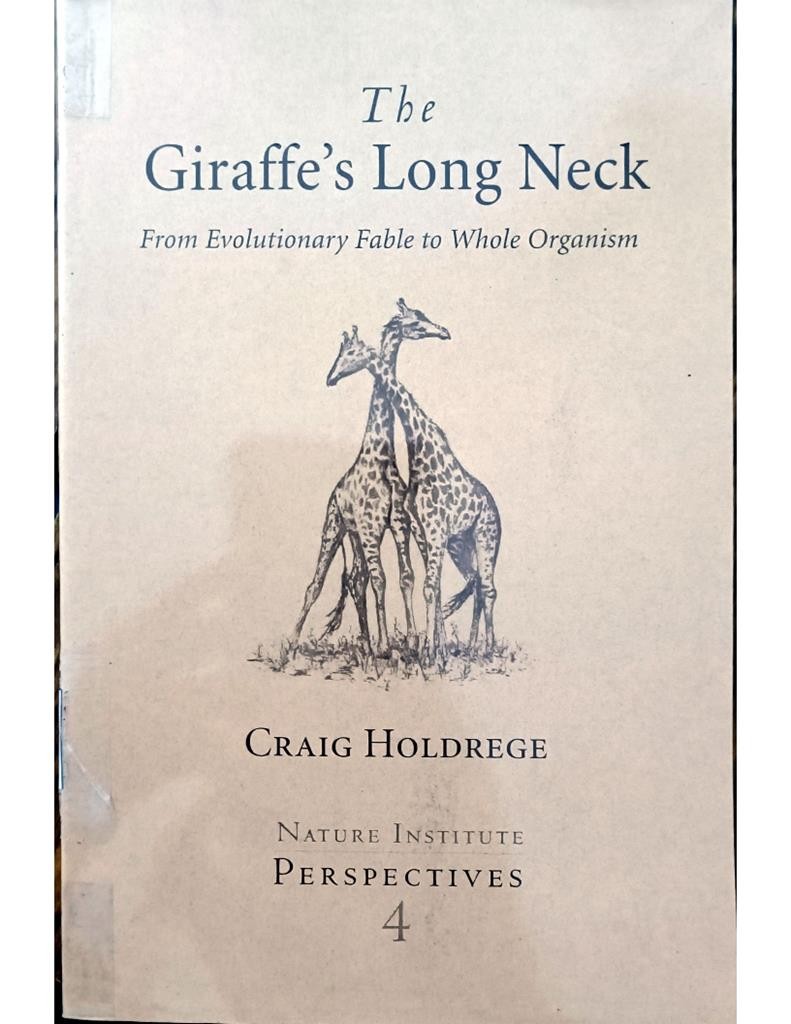 The Giraffe's Long Neck