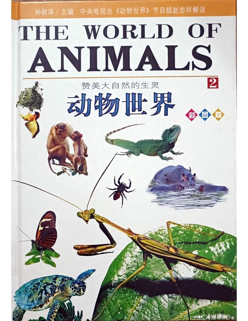 动物世界 (The World Of Animals)