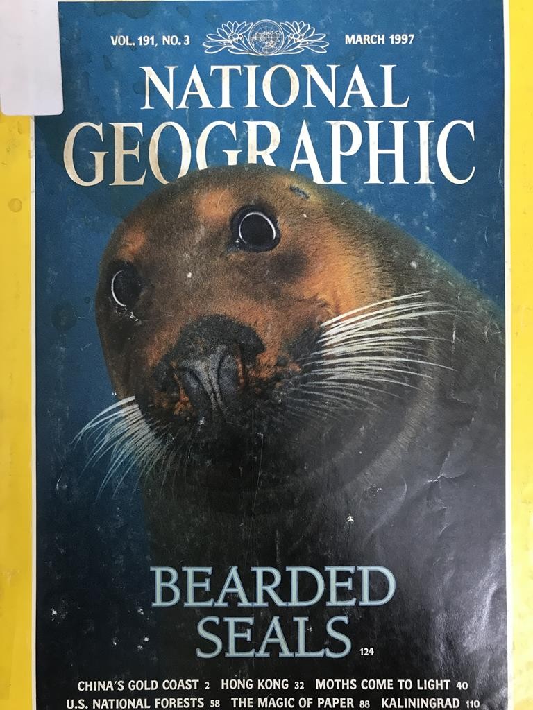 National Geographic- Beardd Seals