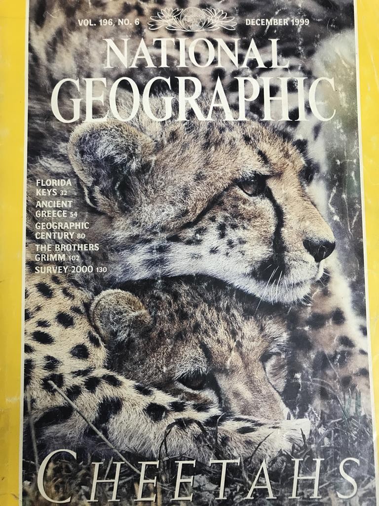 National Geographic - Cheetahs