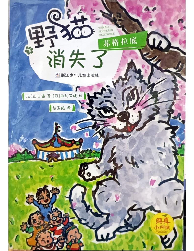 野猫苏格拉底消失了