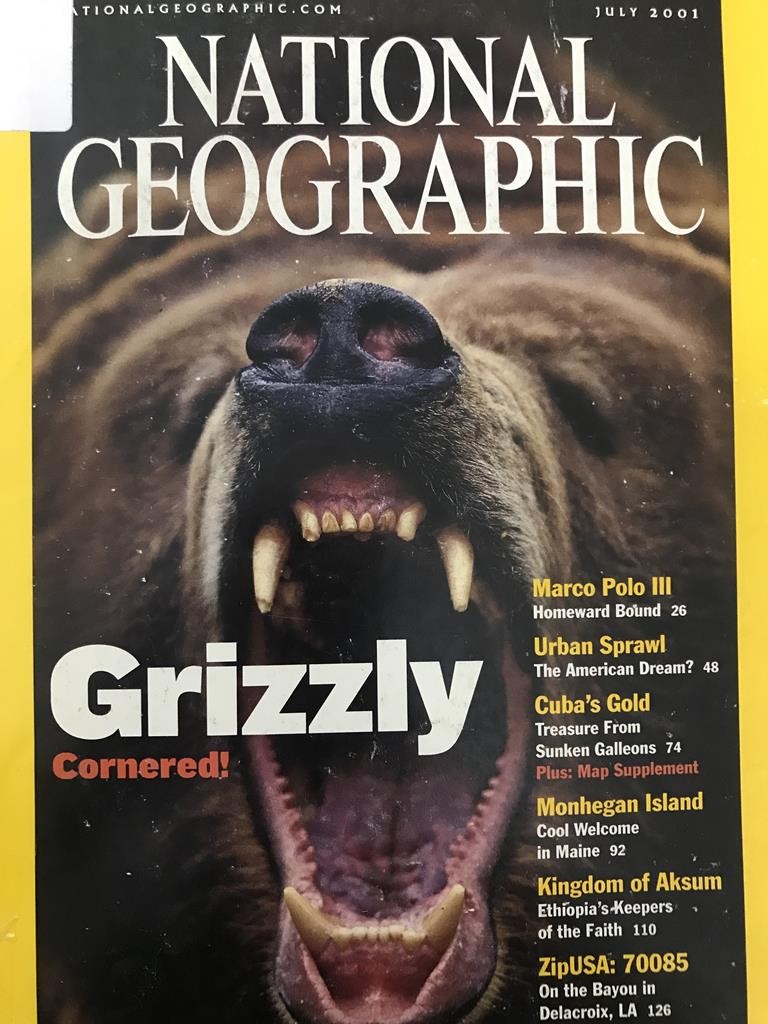 National Geographic - Grizzly