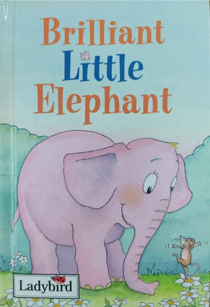 Brilliant Little Elephnat