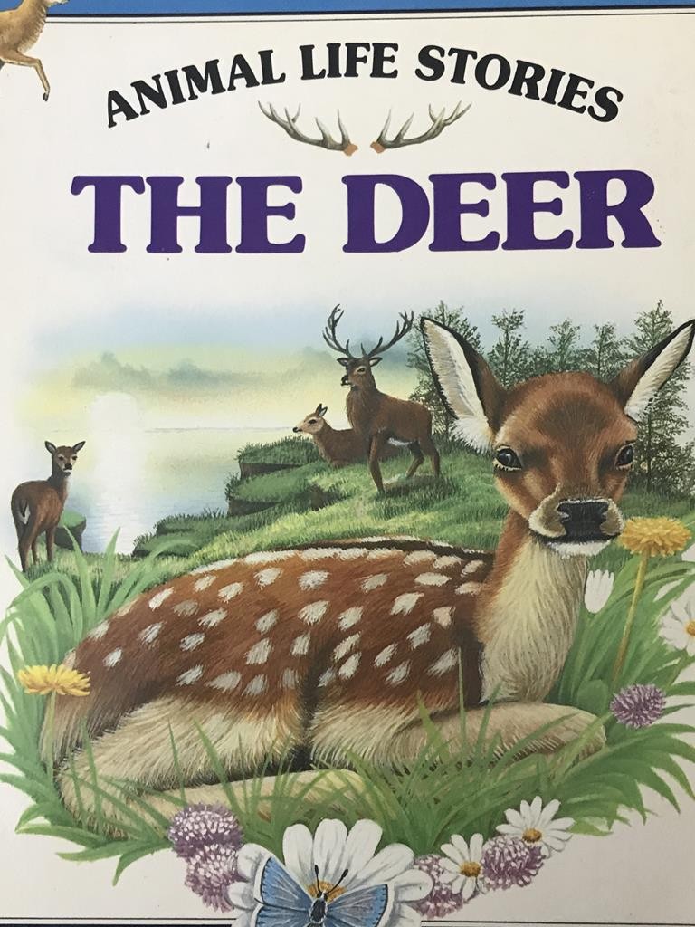 The Deer