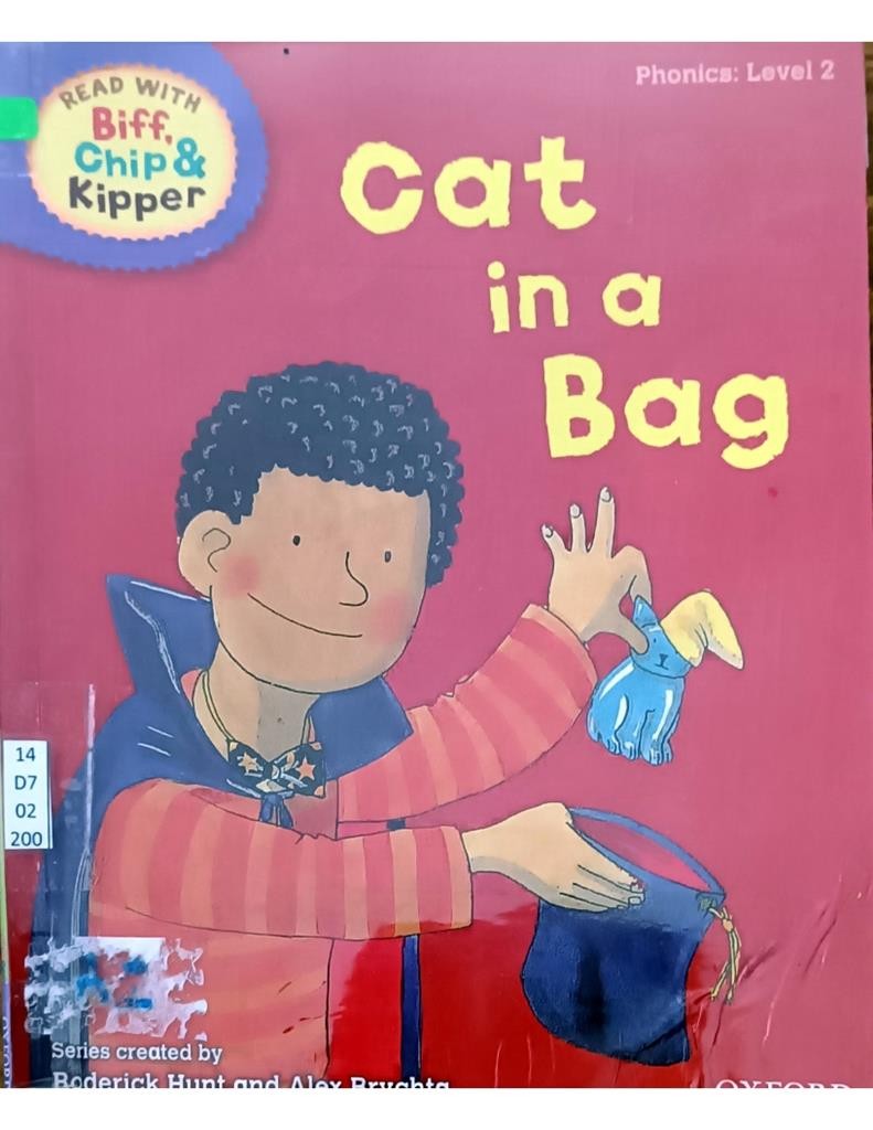 Cat in a Bag (Level 2)