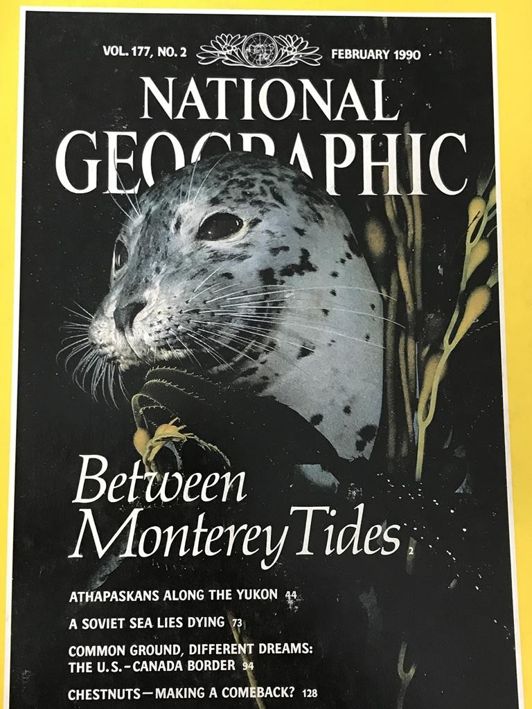 National Geographic- Between Monterey Tides