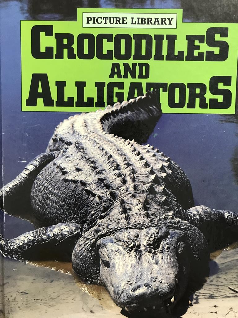 Crocodiles And Alligators