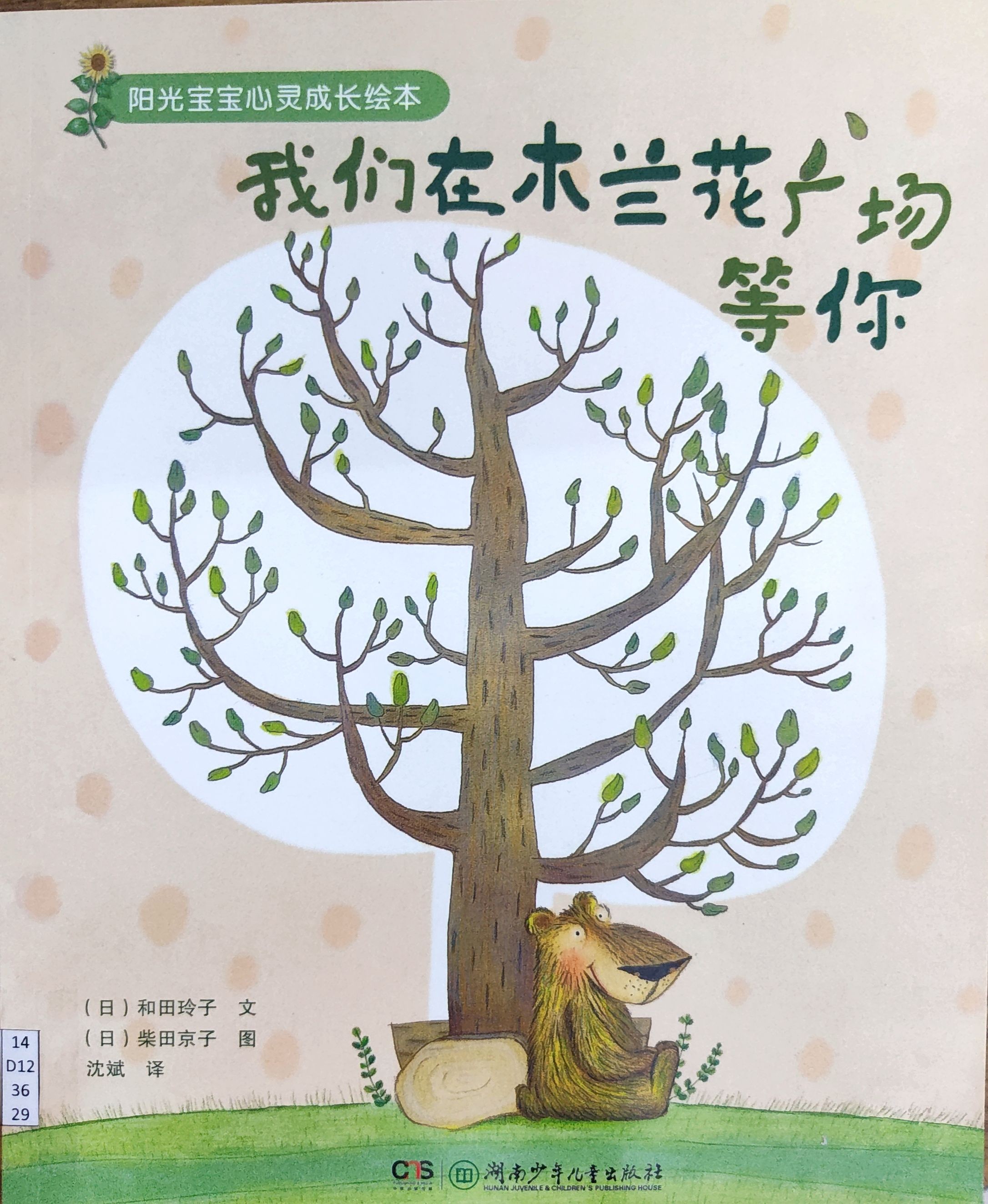 我们在木兰花广场等你