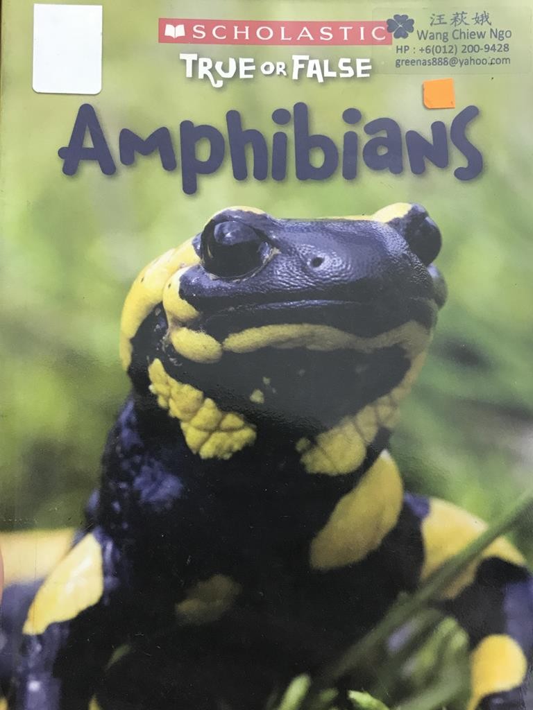 Amphibians