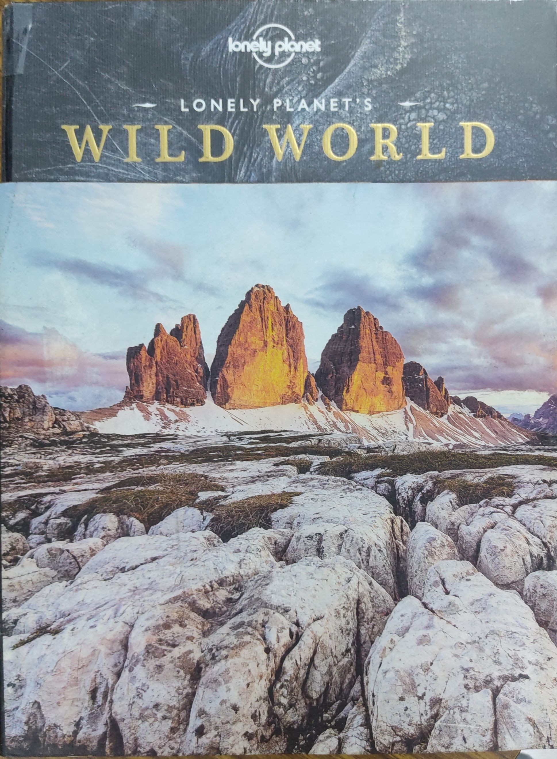 Lonely Planet's Wild World