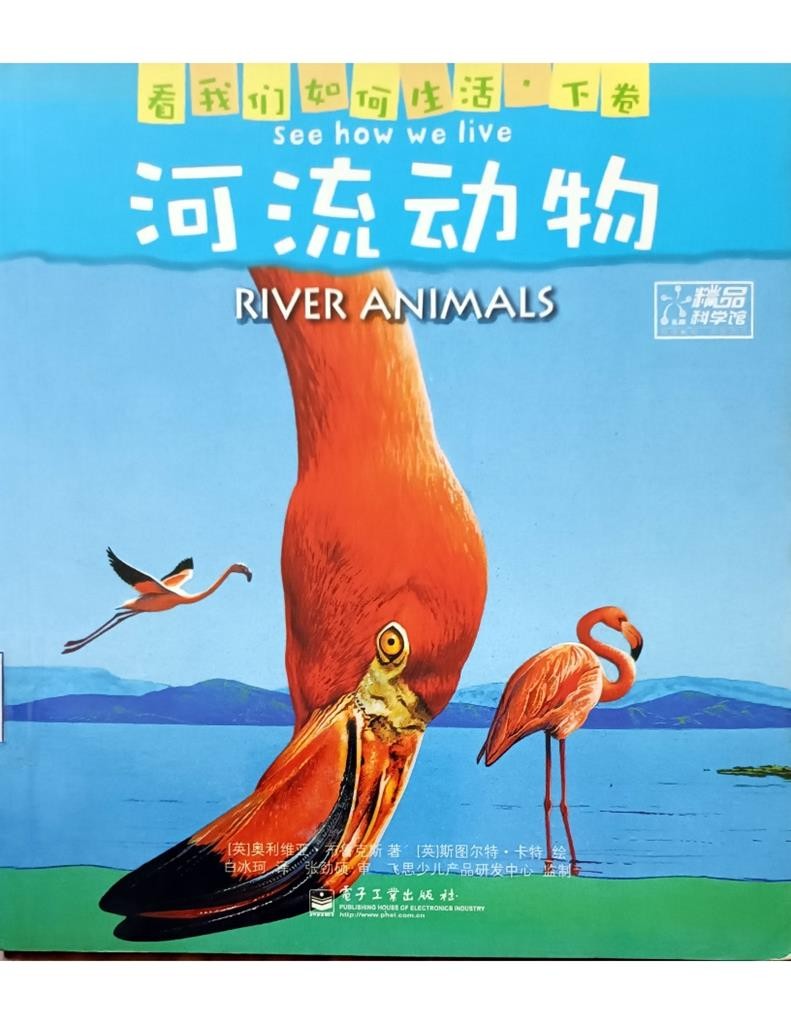 River  Animals 河流动物