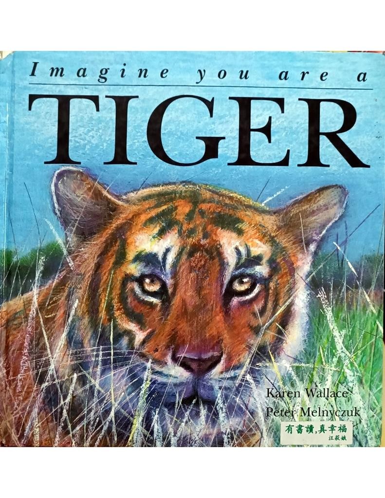 Imagine You Are A TIger