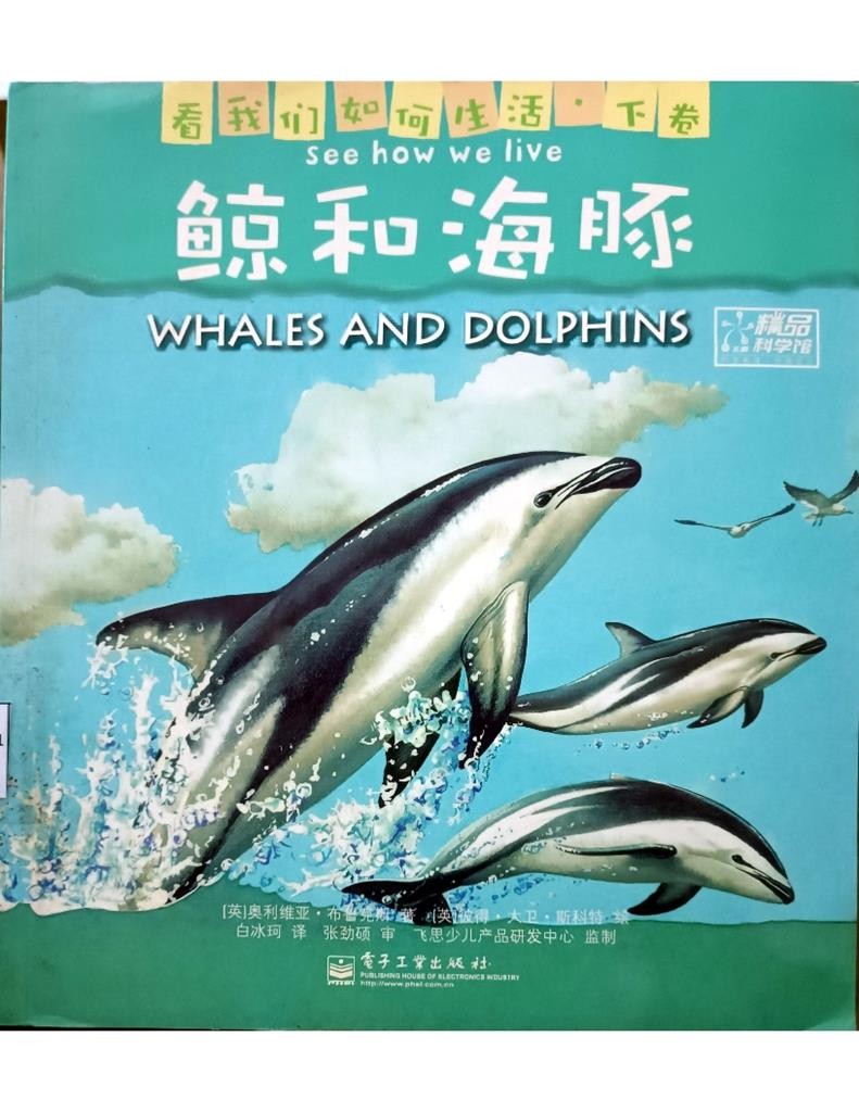 Whales And Dolphins 鲸和海豚