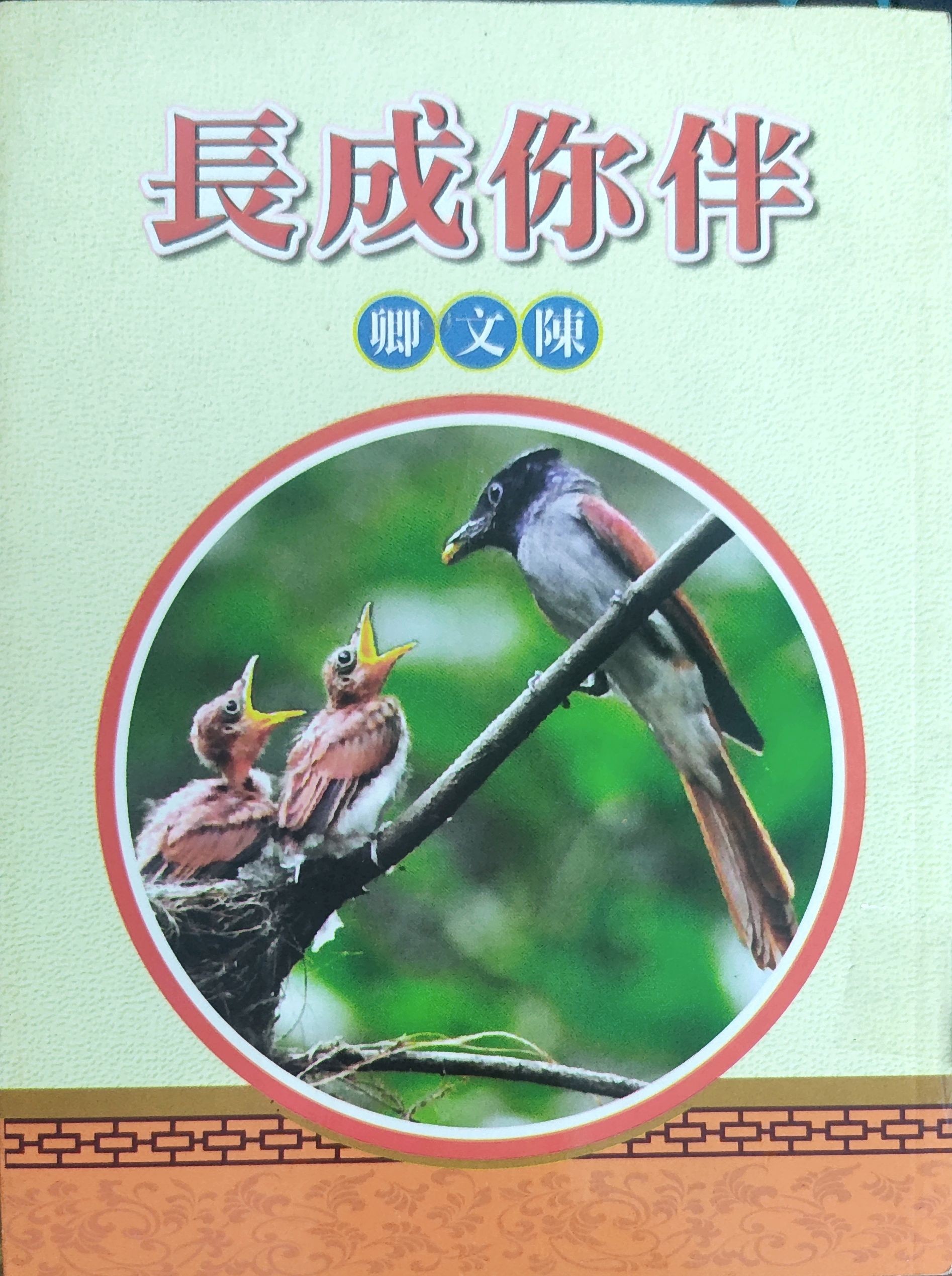 伴你成长