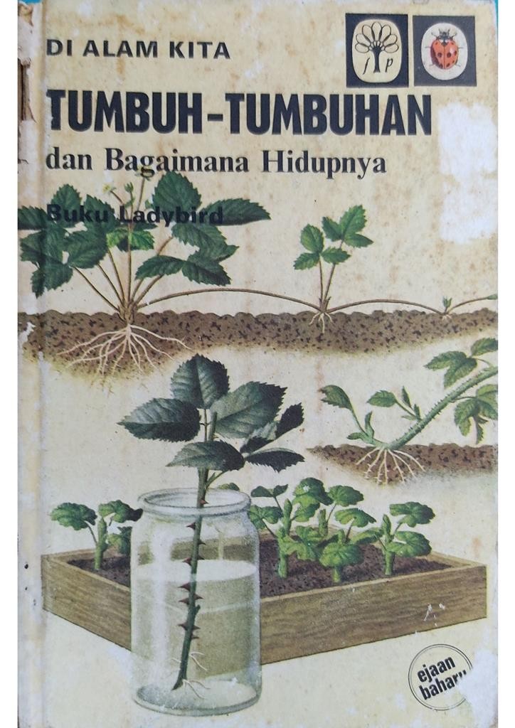 Tumbuh-tumbuhan dan Bagaimana Hidupnya